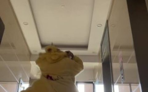 抖音VC的维密视频大合集，最新视频作品抢先看