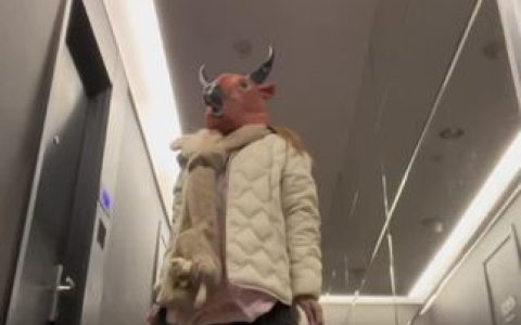 抖音VC独角兽微密圈，百度云资源大合集