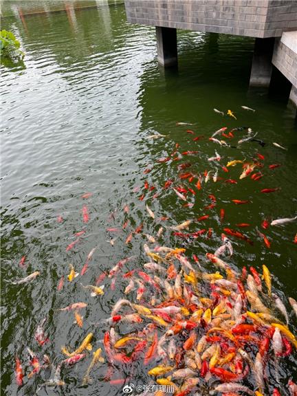 张鑫baby油光Pipi写真独家资源限时分享,她的微密圈作品让人惊艳