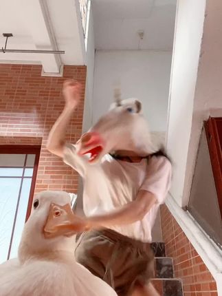 抖音VC独角兽瓜老师,微密圈的传闻大揭秘