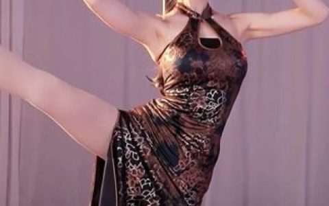 车老板舞蹈视频大合集，最全的舞蹈资源推荐