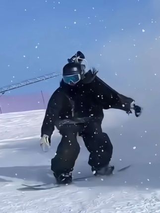 如何看待月球造梦家微密圈?粉丝评论与分析观点