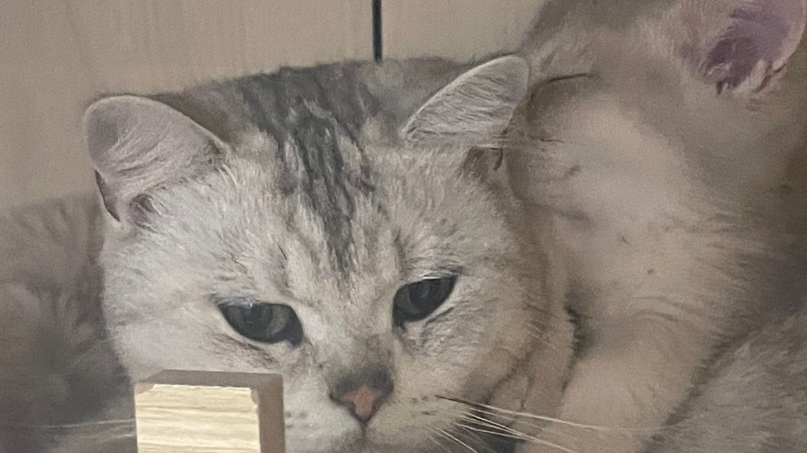 糊涂小Y会员定制视频，她的会员舞蹈视频值不值得？