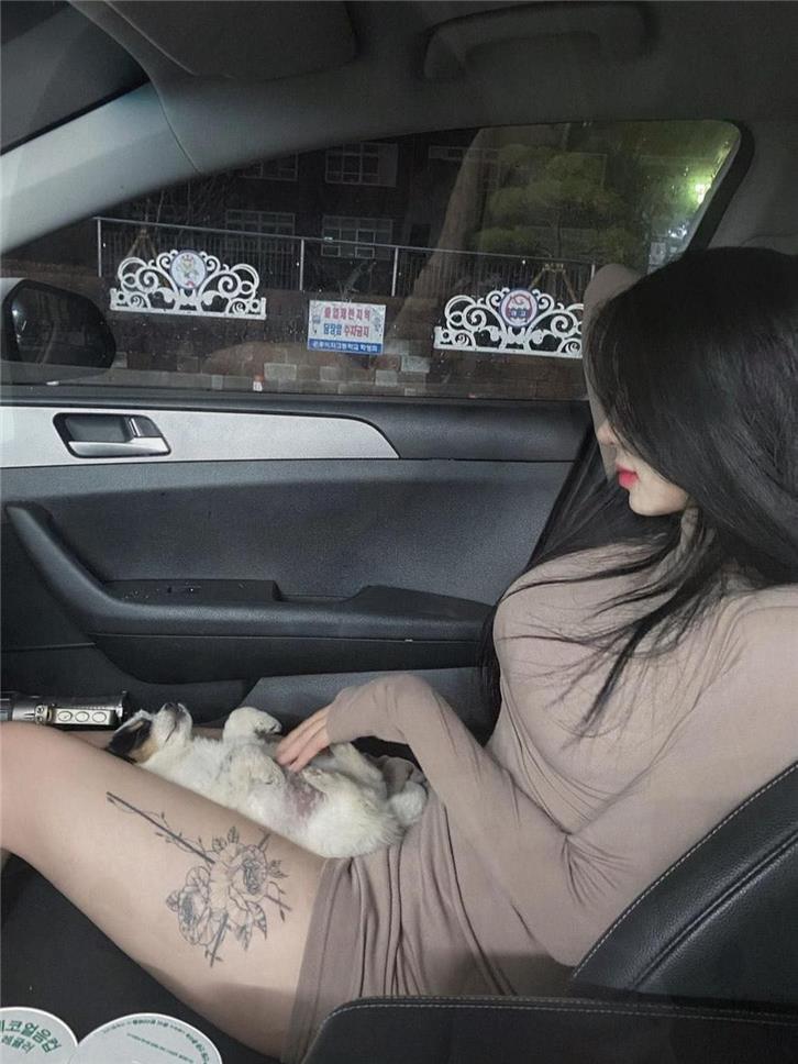 软糖熊的真实生活曝光,视频合集一览