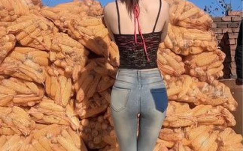 CC小果土豪定制舞蹈合集全览，如何欣赏她的高光表演？