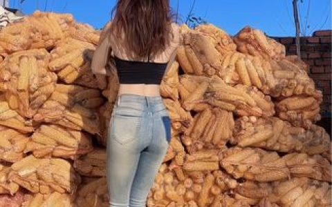 网易CC小果舞蹈视频，她的跳舞为何受到粉丝追捧？