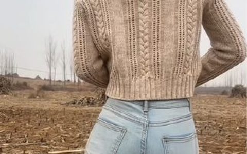 CC小果最新热舞合集，从经典到创新的多面表现