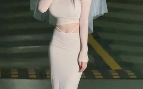 CC小微微至尊版一直叫，深入解析为何“至尊版”成为热门话题