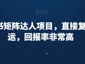 如何优化小红书运营策略，从用户需求到内容提升的操作指南