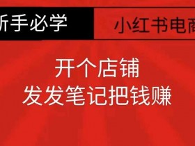 小红书矩阵引流的核心技巧是什么，从引流到转化的全攻略