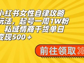 小红书运营项目计划书示例,成功运营案例的参考模板