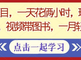 书单号项目怎么做,从搭建到变现的全流程案例解析