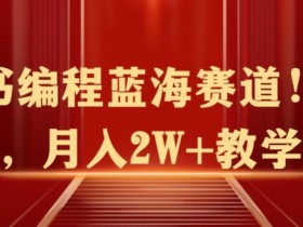 短剧项目如何高效推广，小红书无脑搬运玩法拆解