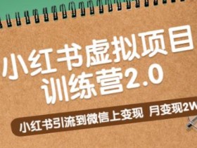 蓝海赛道低成本玩法，小红书虚拟资料赚钱方法解析