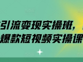 短视频如何通过运营快速引流,实用方法与案例分享