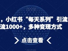 小红书带货笔记引流怎么玩,从推广到成交的全链路解析