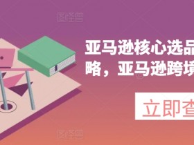 亚马逊成人用品的库存管理,避免断货与库存积压的方法