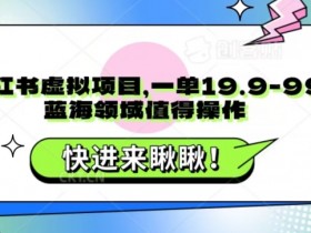 新手必看,小红书虚拟资料项目从选品到发货的全解读