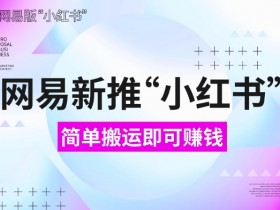 小红书批量化引流指南,矩阵账号运营的全新操作策略