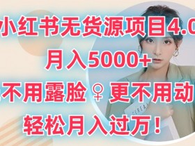 短剧推广是否值得做，小红书蓝海项目的盈利模式揭秘