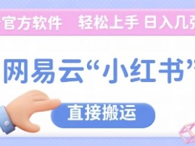 小红书批量化引流指南,矩阵账号运营的全新操作策略