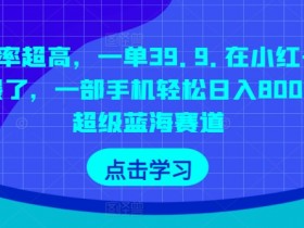 小红书短剧推广项目靠谱吗,真实案例与收益模式分析
