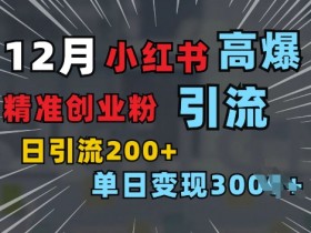 小红书图文引流玩法大全，矩阵推广日增300+精准粉丝