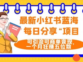 小红书引流方法解析,11种自用引流玩法一天300+流量