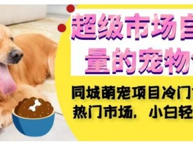 2025抖音同城引流实操课,引爆万家实体店流量的策略