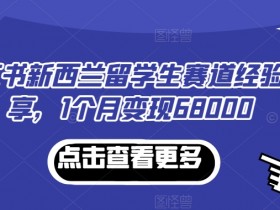 小红书运营项目技巧,从策划到执行的完整操作指南