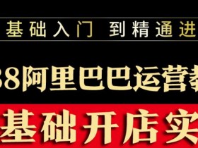 阿里国际站运营思路案例分析,如何结合数据实现精准优化?