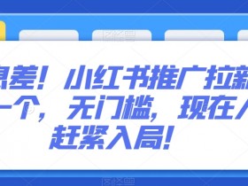小红书笔记引流的秘诀，提升粉丝量与转化率的实操分享