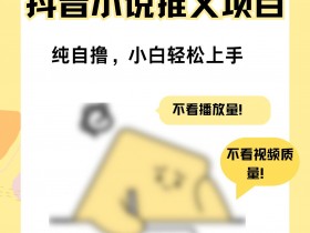 抖音社群运营怎么找到核心用户,精准吸引粉丝的秘密