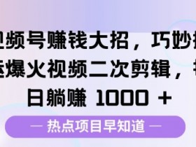 视频号半无人直播带货项目，月入10W+的核心运营策略