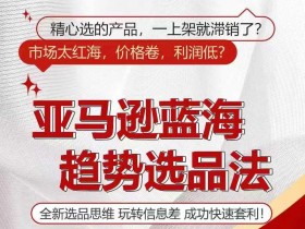亚马逊开店成功案例分享，从小白到大卖的真实故事