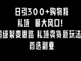 小红书运营项目经历如何描述,提升职场竞争力的写作技巧