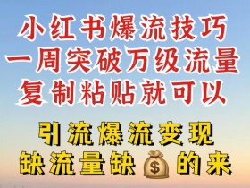 小红书掘金项目违法吗，冷门赛道的法律与风险解析