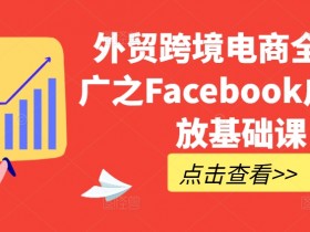 Facebook广告ROI优化案例,品牌如何实现收益最大化?