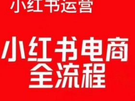 小红书图文推流秘诀解析,掌握算法轻松实现高效引流