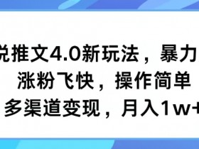 小说推文分销模式怎么玩，用CPS实现收益最大化