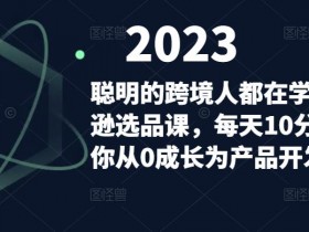 亚马逊成人用品如何结合独立站，多平台联动的营销策略解析