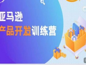 亚马逊运营岗位详解，工作内容与成长路径一览