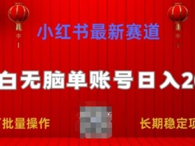 小红书掘金项目是否合法，冷门赛道的真实收益解析