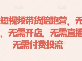 爆款短视频运营方法是什么，从创意到传播的全流程解读