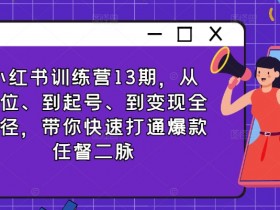 小红书掘金项目安全性如何,冷门虚拟项目的合规指南