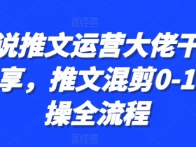 小说推文营销推广案例解析,从零到爆量的真实操作路径