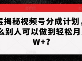 视频号素人矩阵账号如何布局，打造多领域多收益的矩阵模式