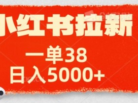 高端旅游定制项目怎么玩,小红书从内容到变现的全教程