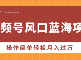 视频号分成计划冷门玩法揭秘,小众赛道如何实现爆发性收益?