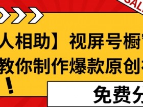 视频号直播冷门玩法解析，普通人也能轻松赚钱的新方向